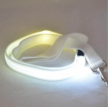 Purrfect Pet Kingdom Glow in the Dark Leash for Pets White Rechargeable-Usb Purrfect Pet Kingdom