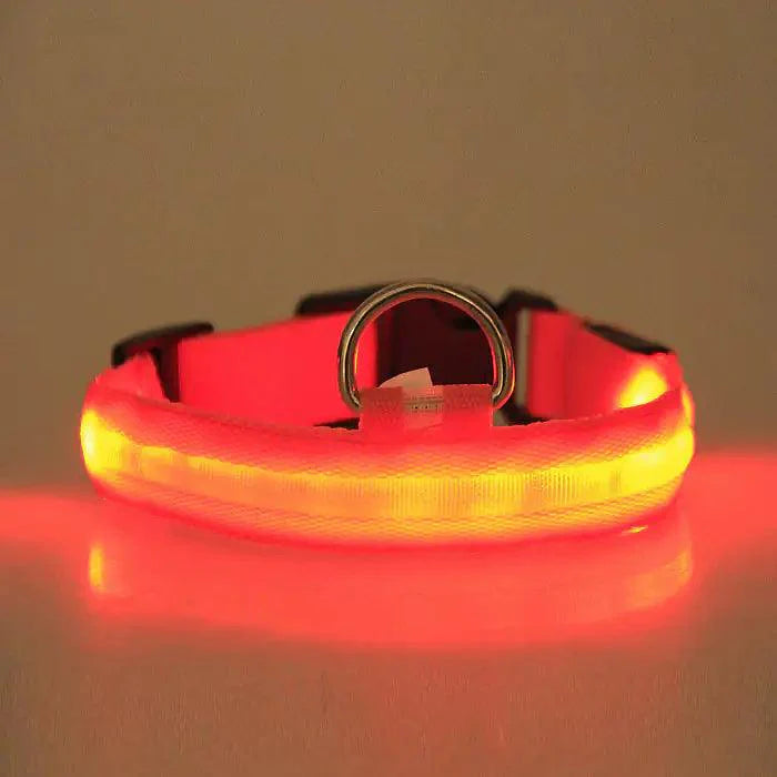GlowGuard LED Pet Collar Light-Up 💡 - Purrfect Pet Kingdom