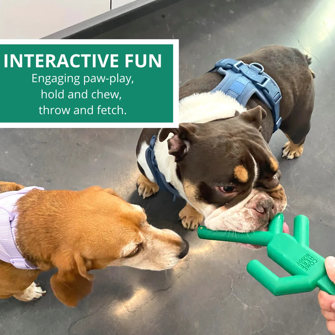 Go Signal Ultra-Durable Natural Rubber Dog Chew Toy by Come Here Buddy, medium size, budget-friendly, chew-resistant design.