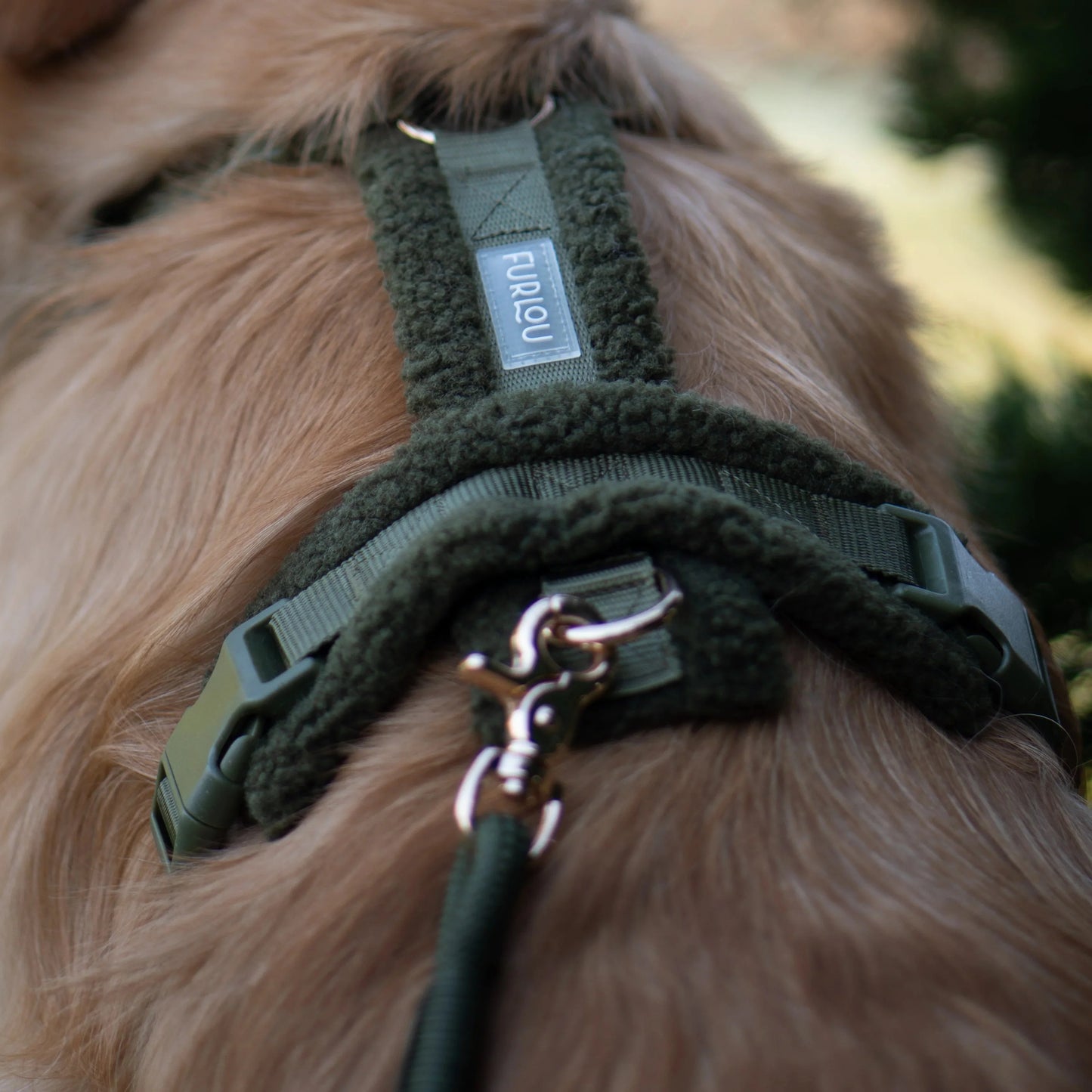 Dog Harnesses 'Moss Green' Sherpa Dog Harness Premium Pet Su