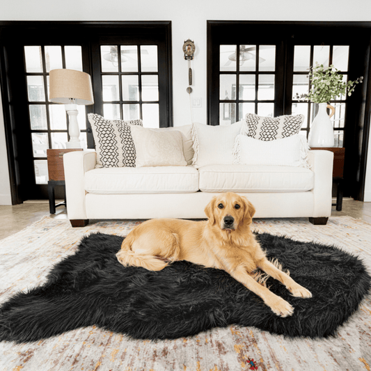 Memory Foam Dog Bed Faux Fur Midnight Black Orthopedic Comfo - main product image