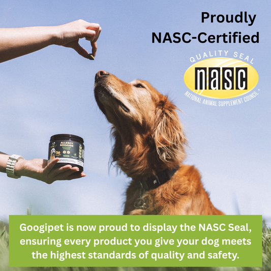 Googipet NASC-certified dog supplements peanut butter pumpkin flavor for quality and safety