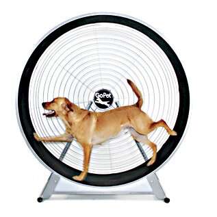 GoPet Dog Treadmill featuring a large wheel design for indoor exercise and fitness for dogs