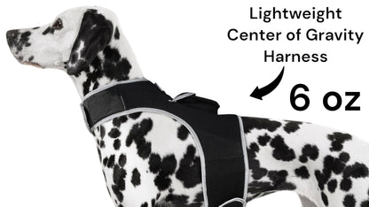 Purrfect Pet Kingdom GPS Dog Collar Tracker Harness Purrfect Pet Kingdom