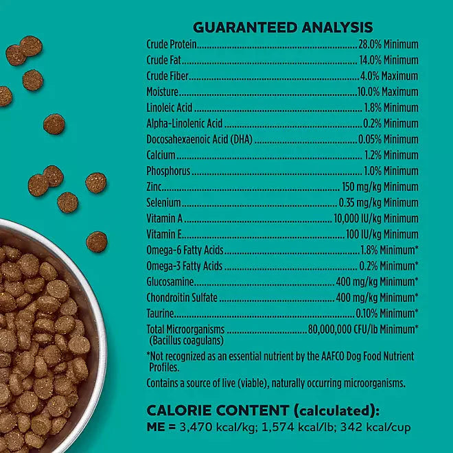 Grain free salmon dog food with dry kibble in a round bowl, highlighting nutritional benefits