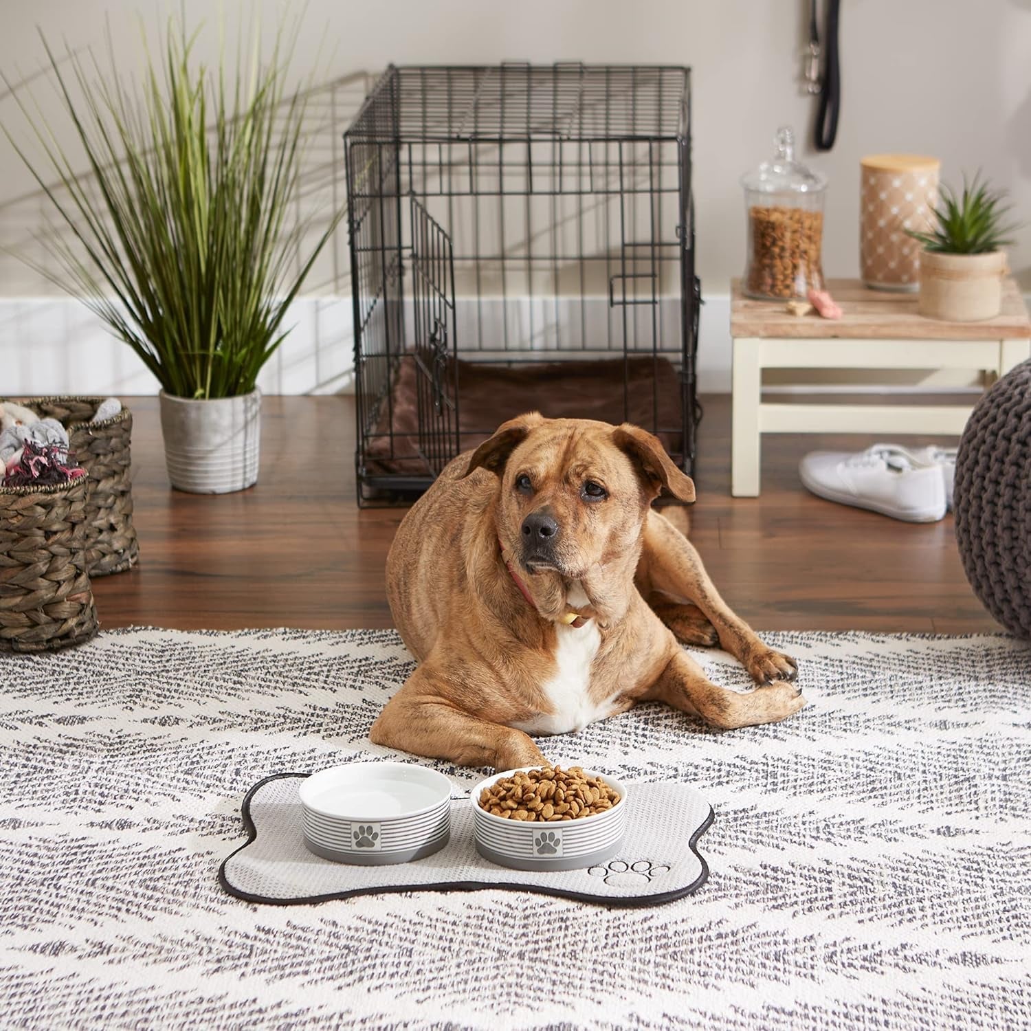Gray ceramic pet dishes 2 piece set with dog enjoying food on a stylish mat