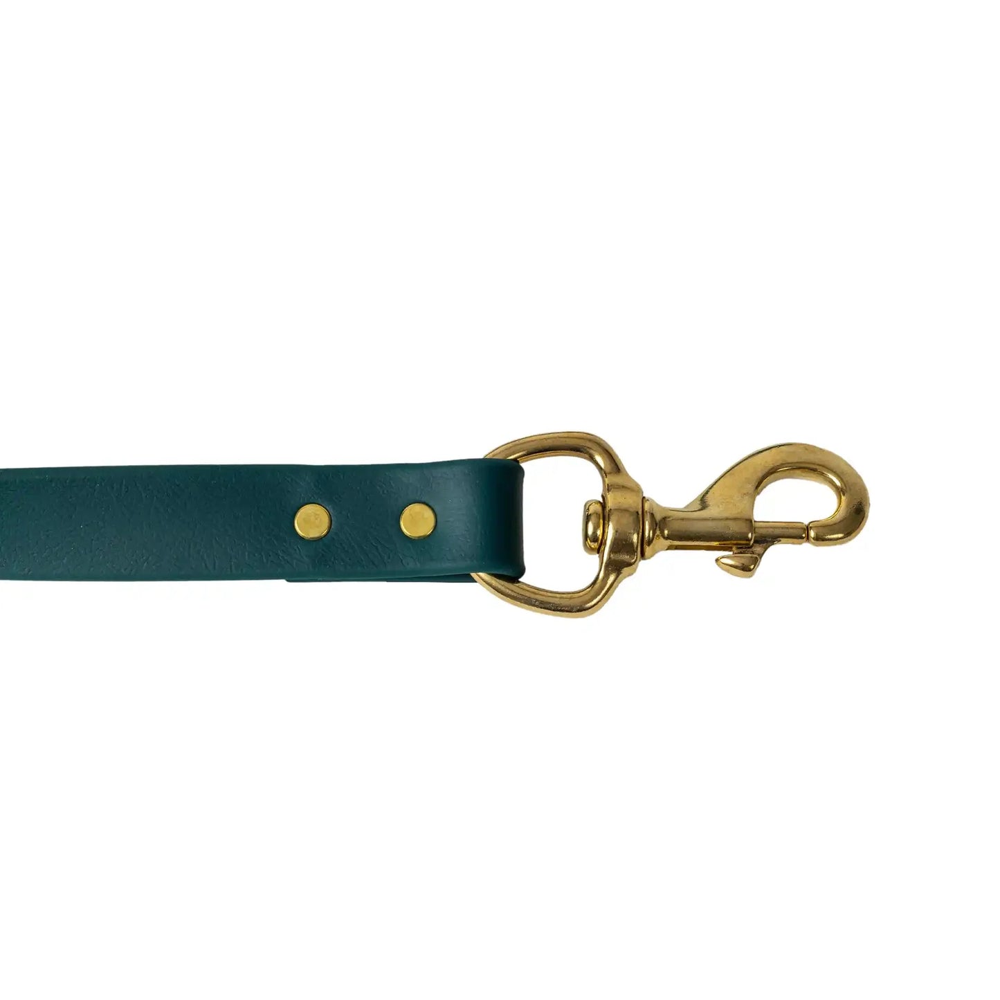 Barrows Dog Leash - Green | Purrfect Pet Kingdom