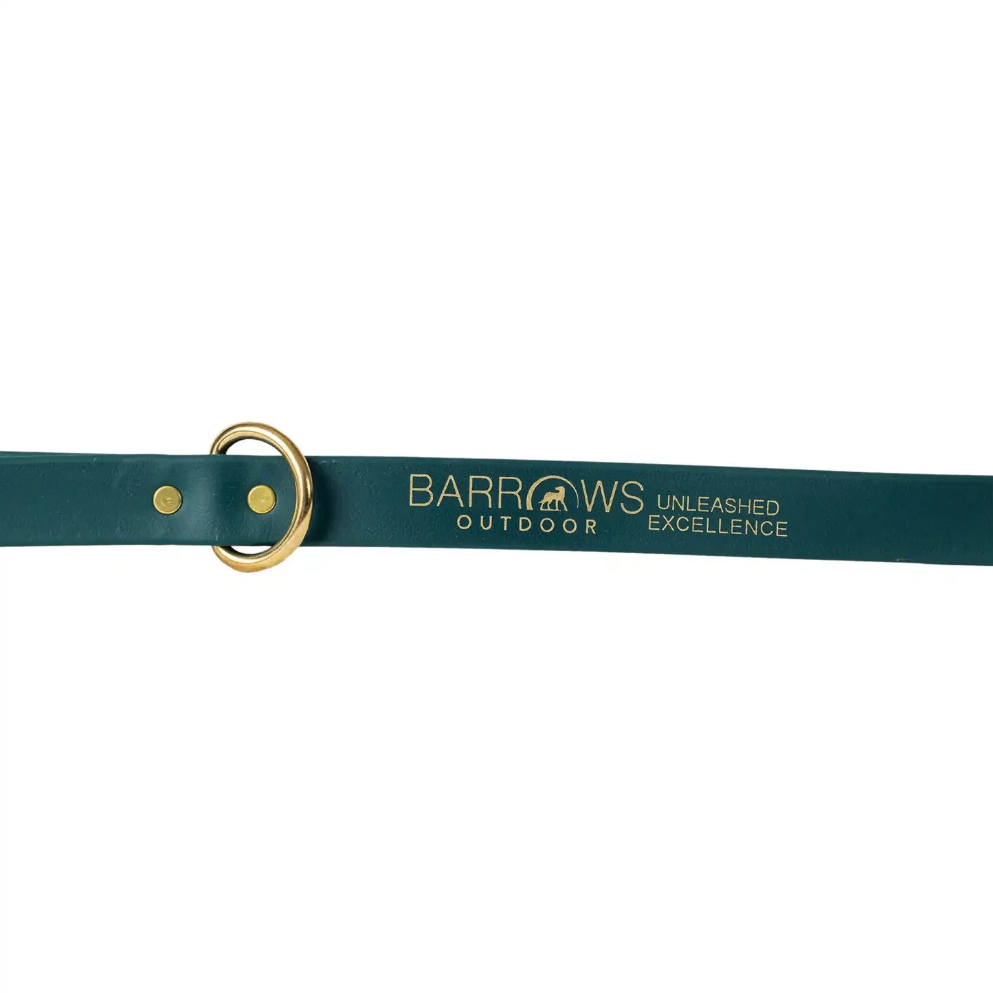 Barrows Dog Leash - Green | Purrfect Pet Kingdom
