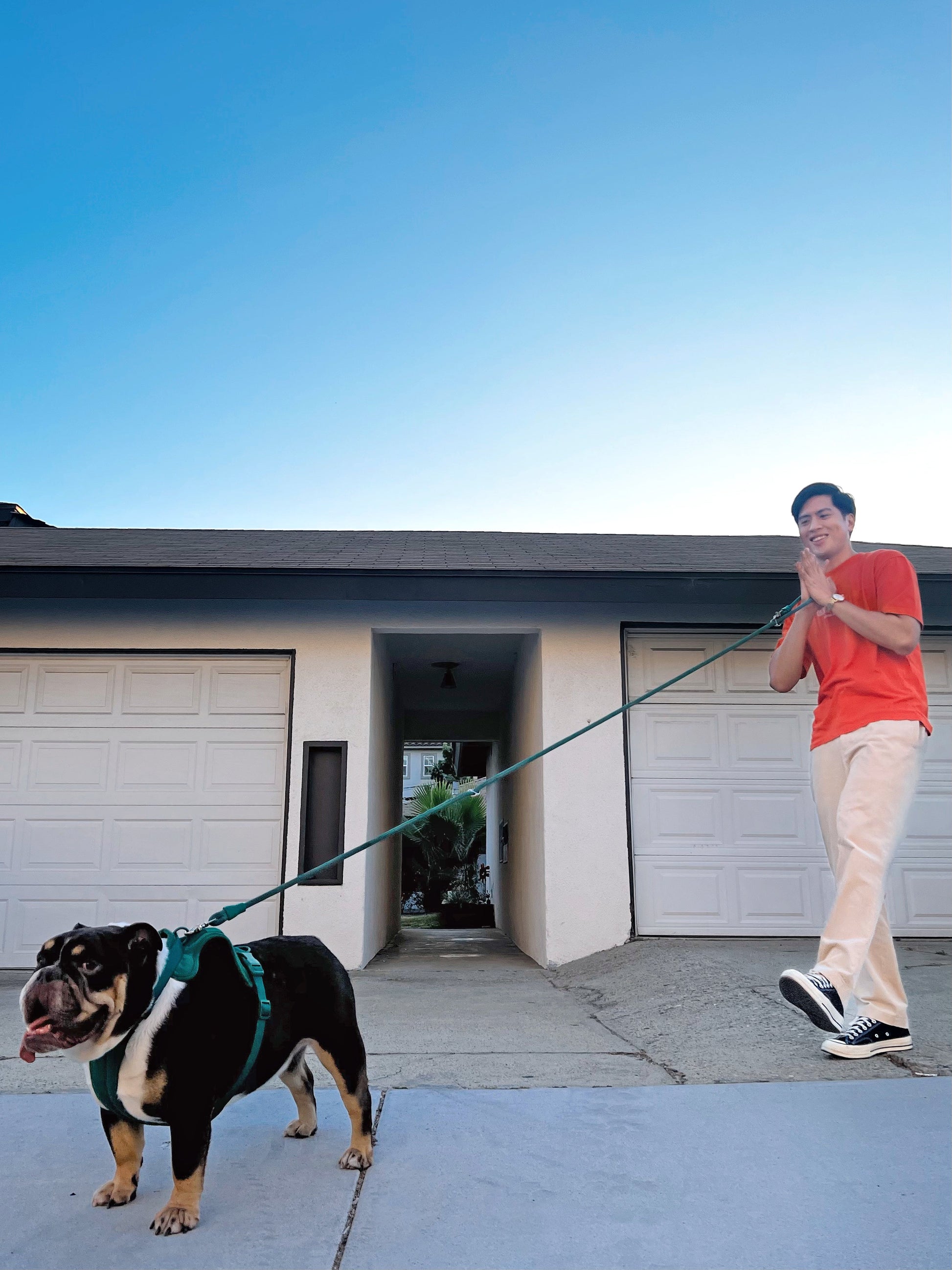 Kismet Dog Leash - Pet Leashes - Come Here Buddy