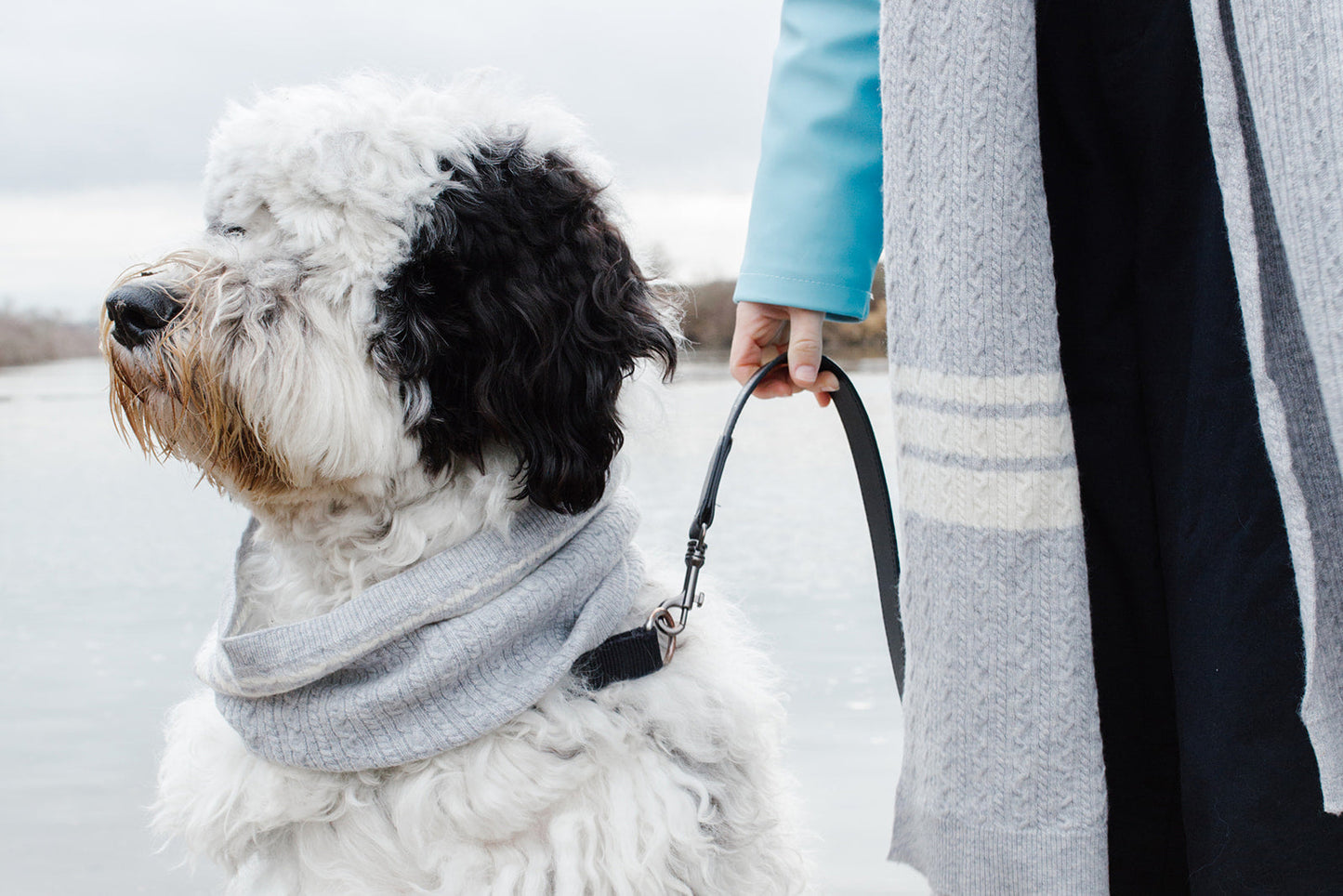 Cashmere Blend Scarf sets for Pets and their humans, Heather Grey