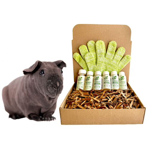 ReNewedPet grooming kit for hairless pets with grooming gloves and care products in a box