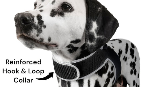 Purrfect Pet Kingdom GSM Tracking Device for Cats Collar Default Purrfect Pet Kingdom