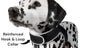 Purrfect Pet Kingdom GSM Tracking Device for Cats Collar Default Purrfect Pet Kingdom