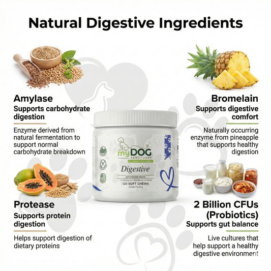 Advanced Probiotic Digestive Chews for Dogs Sensitive Stom