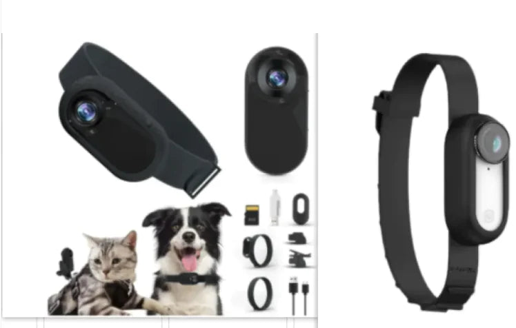 Paw Cam Wireless Pet Collar - Ameraeon