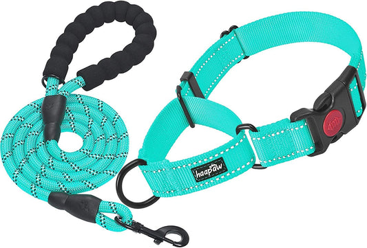 Purrfect Pet Kingdom Dog Obedience Collar Set in teal color with comfortable handle and durable leash