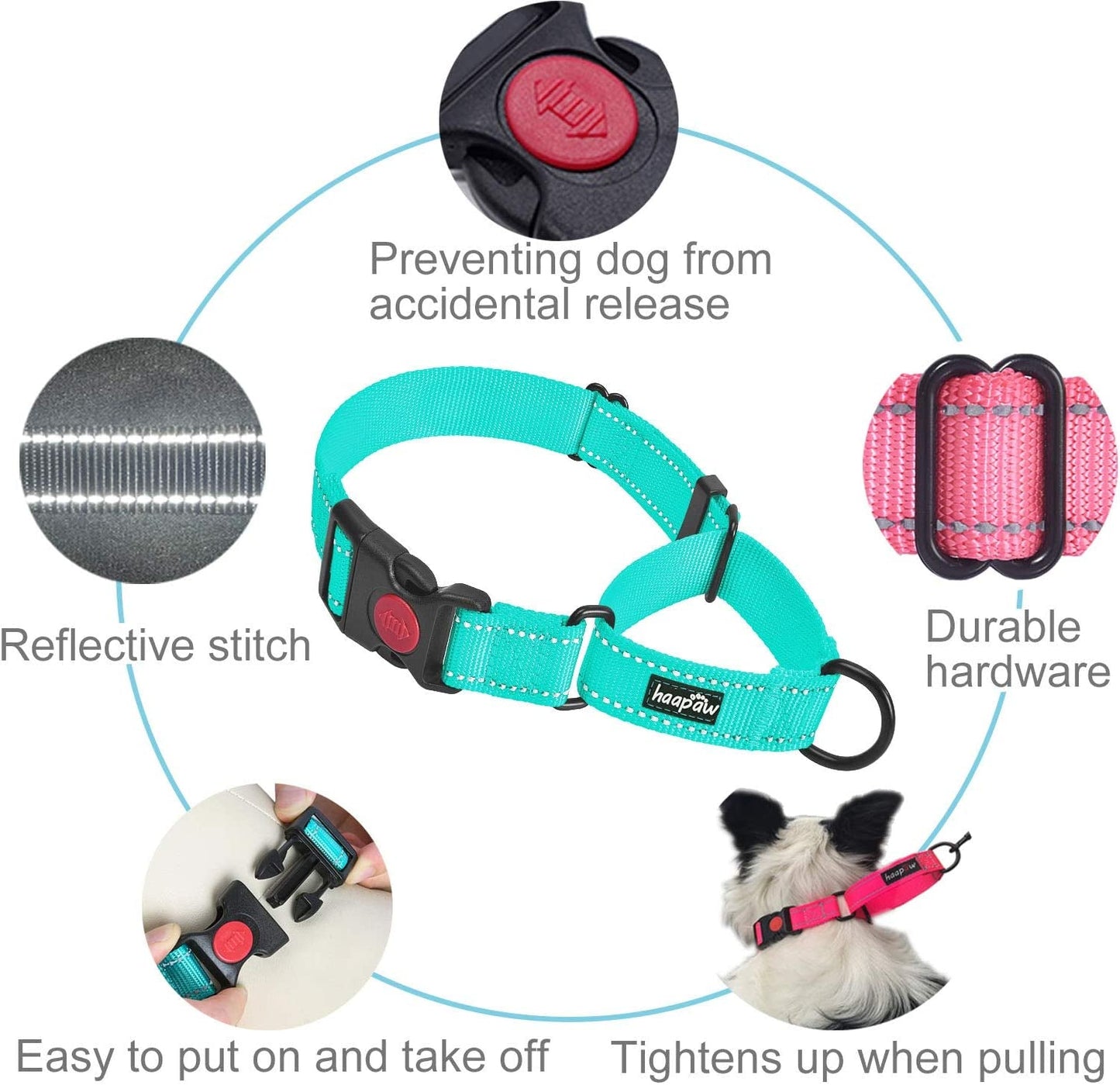 Dog obedience collar set in turquoise with durable hardware and reflective stitch for safety