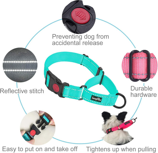 Dog obedience collar set in turquoise with durable hardware and reflective stitch for safety