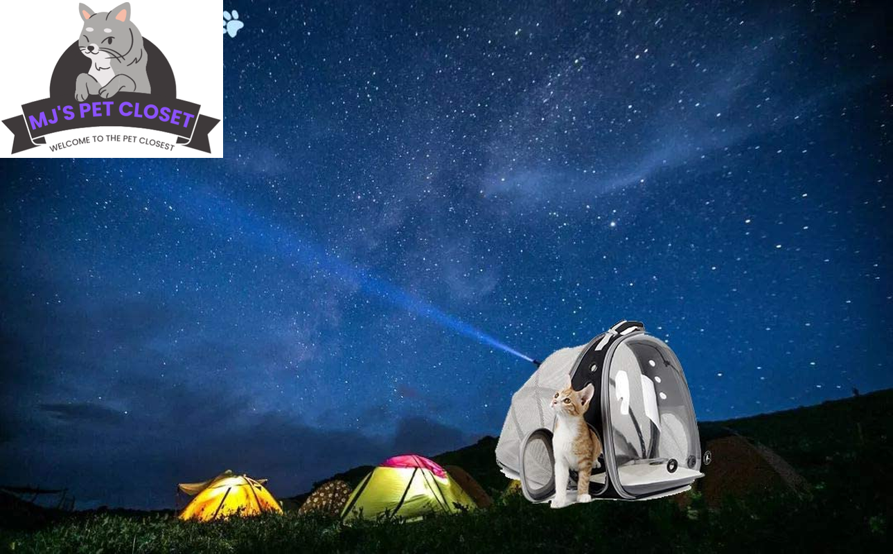 Purrfect Pet Kingdom cat backpack with cooling system for outdoor adventures under the stars
