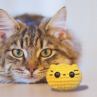 Pippa the chonk | weighted cat toy