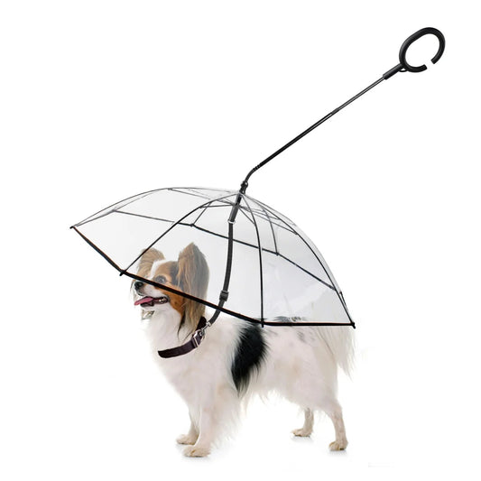 Hands-free dog rain umbrella for stylish pet protection during rainy walks