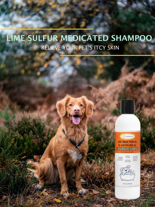 Purrfect Pet Kingdom lime sulfur pet shampoo antibacterial and antifungal medicated shampoo for dogs