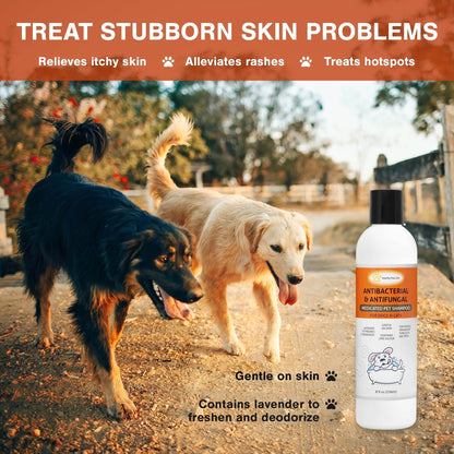 Purrfect Pet Kingdom lime sulfur pet shampoo bottle next to two dogs outdoors, treats itchy skin and rashes