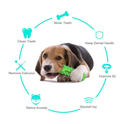 Purrfect Pet Kingdom Dog Teeth Cleaning Chew Toy Purrfect Pet Kingdom