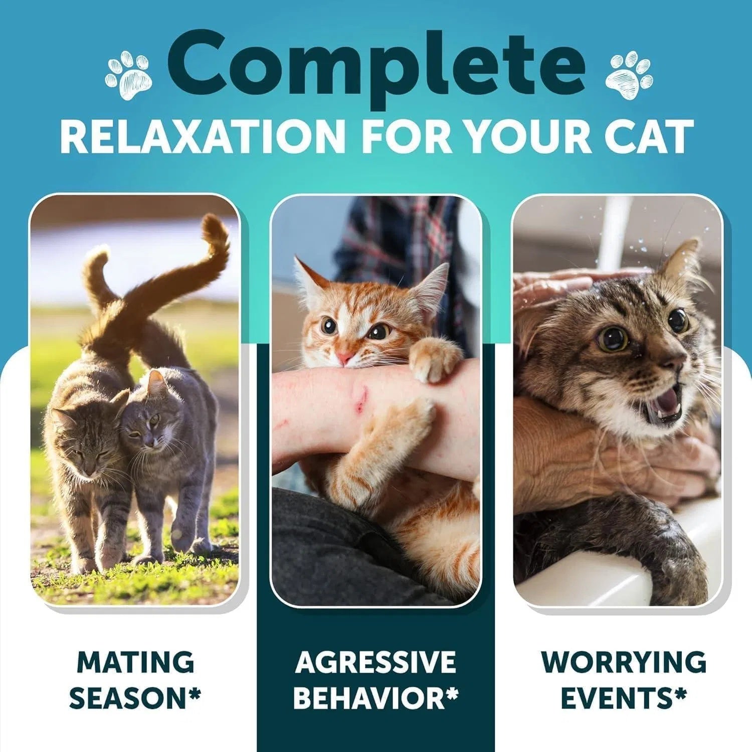 Hemp Cat Calming Treats For Stress & Anxiety Relief Cat Kittens Melatonin - Purrfect Pet Kingdom