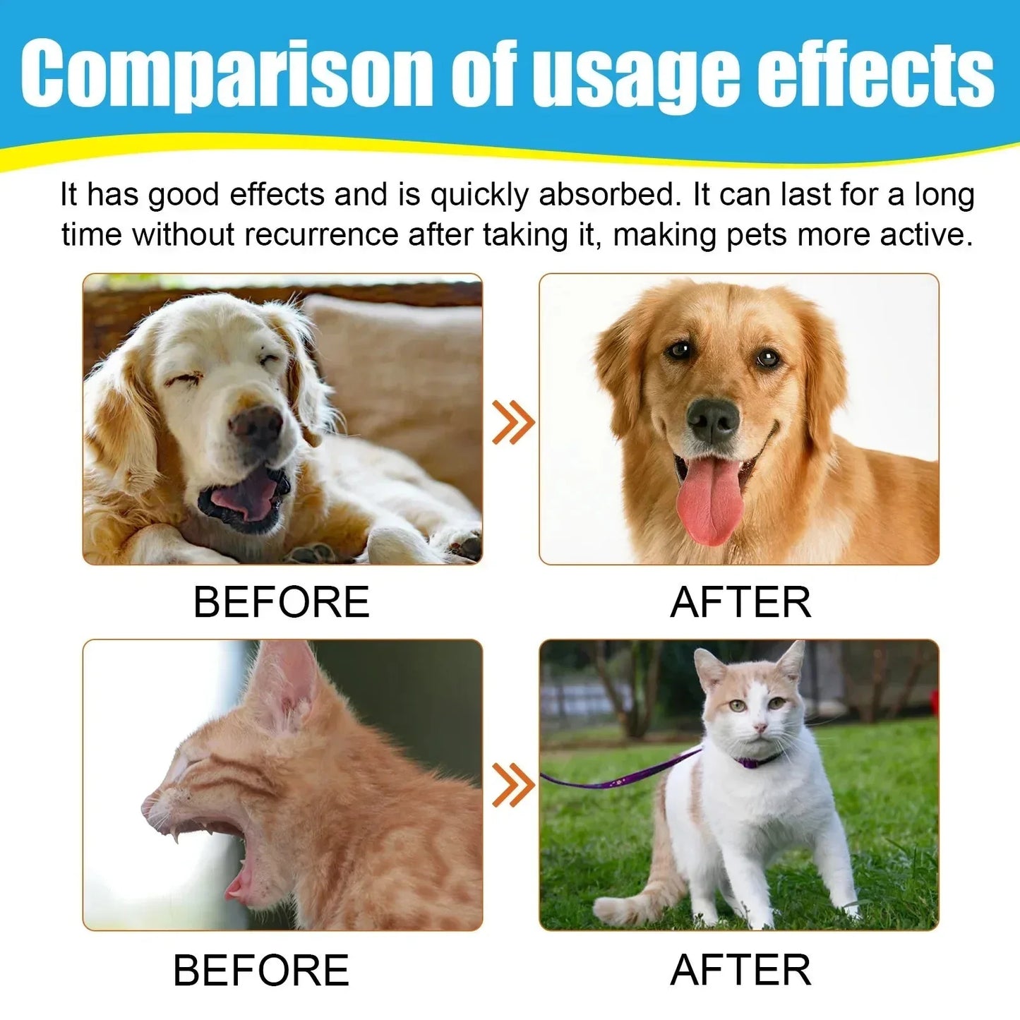 Before and after images showing effects of herbal drops for dog coughing on a golden retriever and a cat