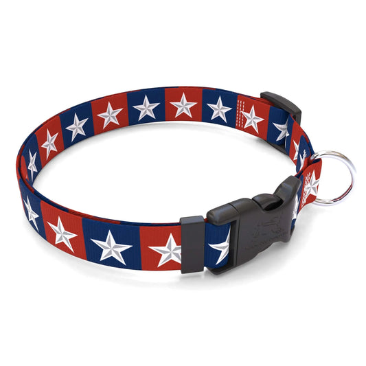 Hot Dog Collars - Personalized Colonial Stars Dog Collar - cpb_hybrid