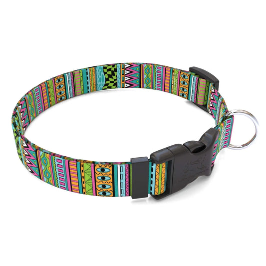 Hot Dog Collars - Personalized Festival Stripe Dog Collar - cpb_hybrid