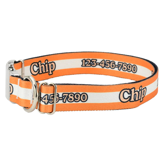 Hot Dog Collars - Personalized Orange Mighty Stripes Dog Collar