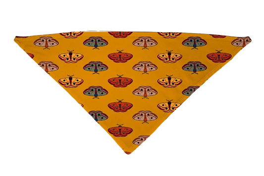 Hot Dog Collars - Wings for Fall Dog Bandana