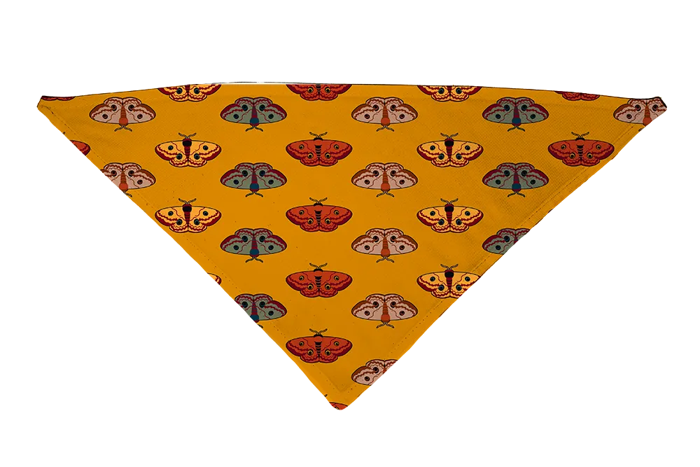Hot Dog Collars - Wings for Fall Dog Bandana - Dog Bandana