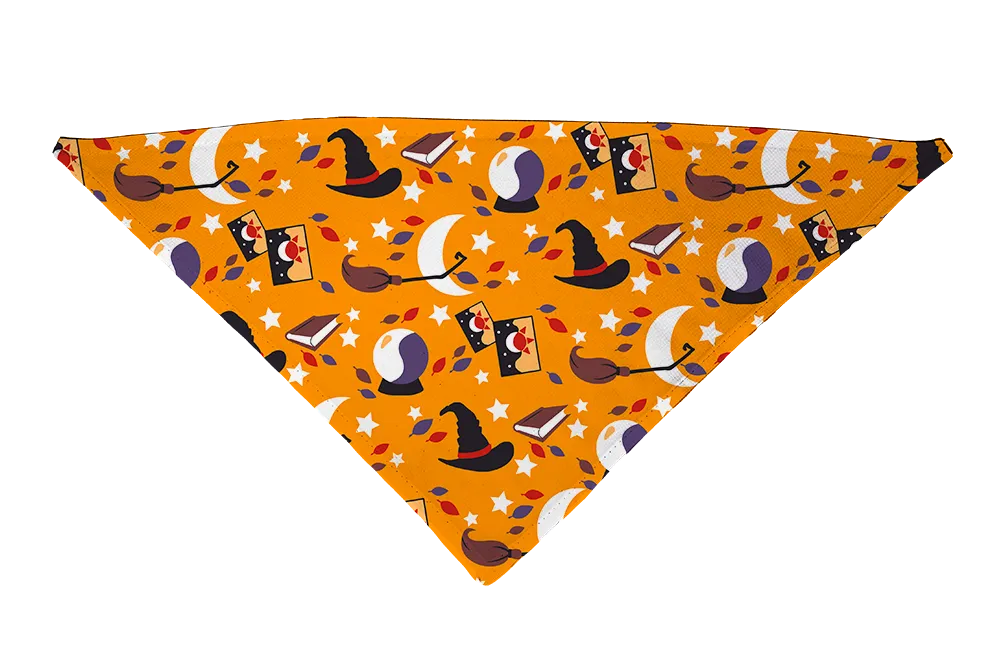 Hot Dog Collars - Witchy Ways Dog Bandana