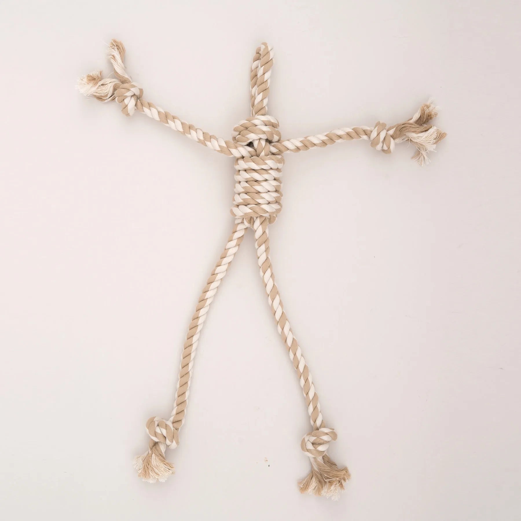 HuggleHounds - Redwood Raccoon X-Brace™ Plush Dog Toy - Plush Dog Toy