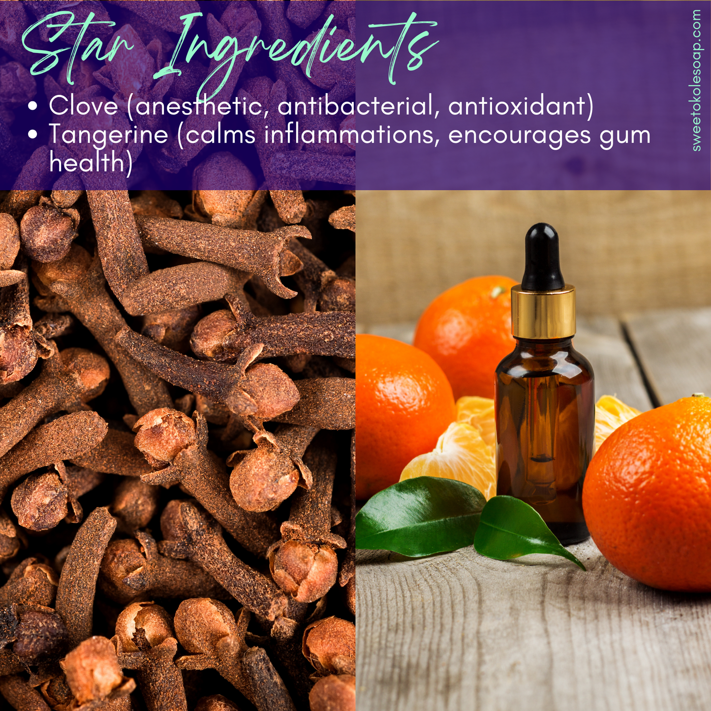 Pet Tooth Powder - Citrus & Clove 5% Hydroxyapatite Enamel Care