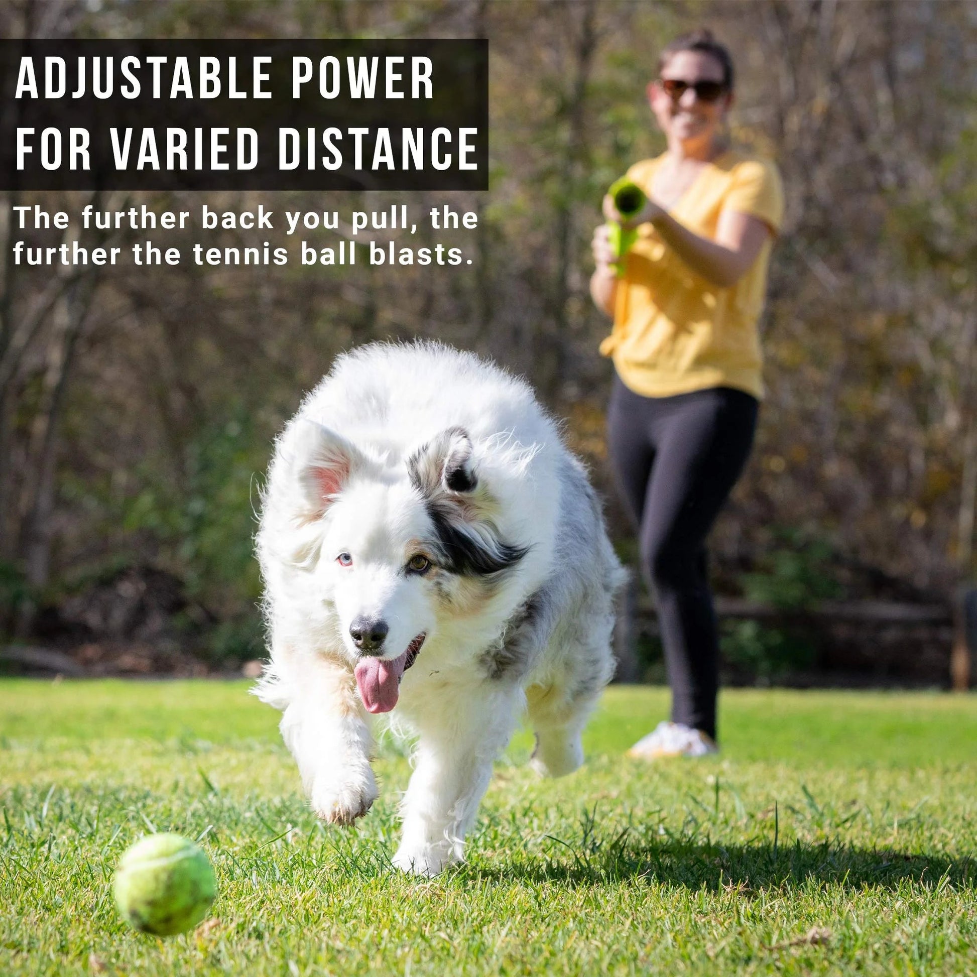 Dog playing with an automatic tennis ball shooter for pets, showcasing adjustable power for varied distance