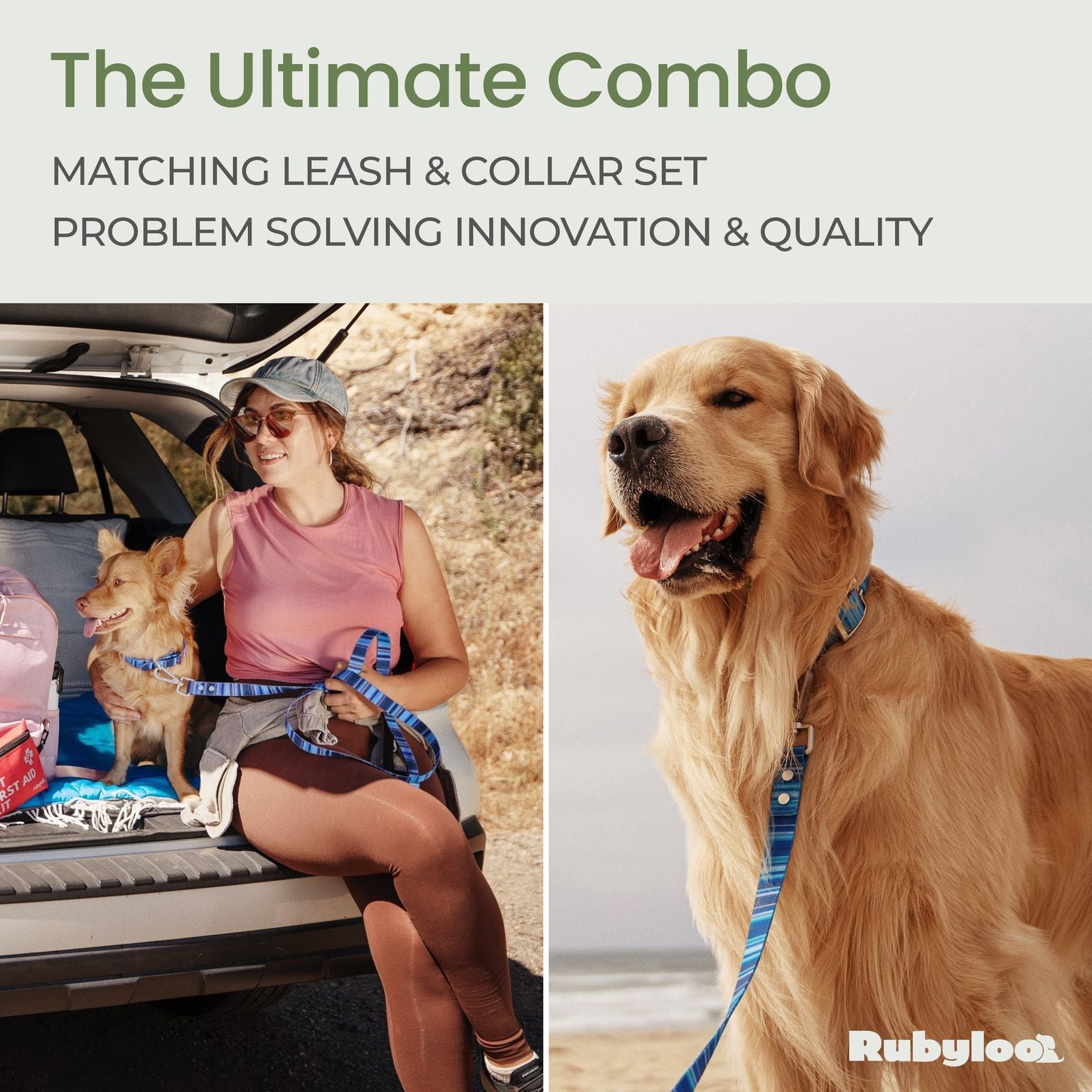 Waterproof Dog Leash Washable Stink-Proof 🐾 - Purrfect Pet Kingdom