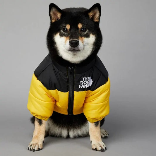 Dog Winter Jacket Luxury Waterproof Insulated 🧥