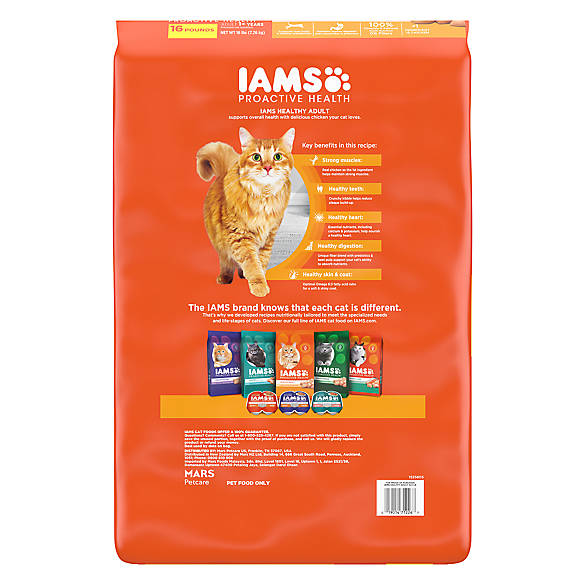 Iams Proactive Health Original Chicken Dry Cat Food - Iams Dry Cat Food - The Family Pet