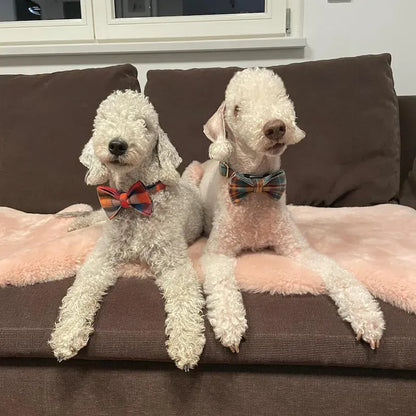 Midnight Copper Plaid Adjustable Dog Harness and Leash Bund