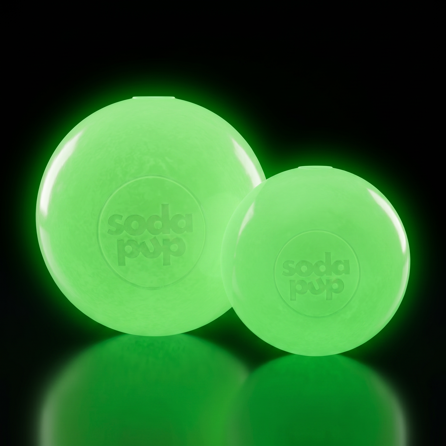 Dog Treats Squeak Ball Durable Squeaky Toy Floats Chew Toy