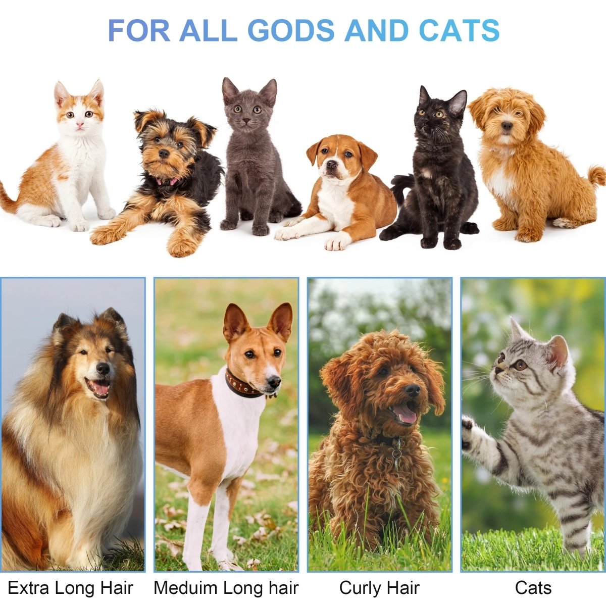 Purrfect Pet Kingdom Deshedders for all dog and cat hair types, ideal pet hair vacuum for dogs and cats