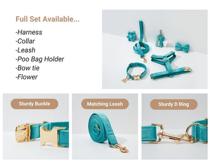 Luxurious Turquoise Velvet Dog Collar and Leash Set for Pets