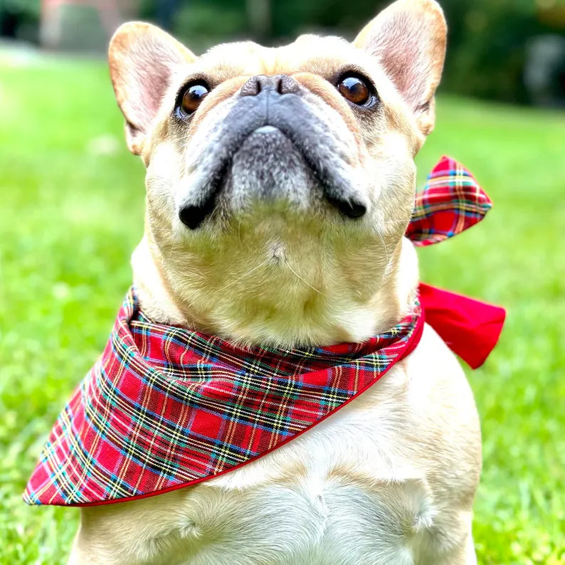 Classic Holliday Plaid Dog Bandana - Purrfect Pet Kingdom