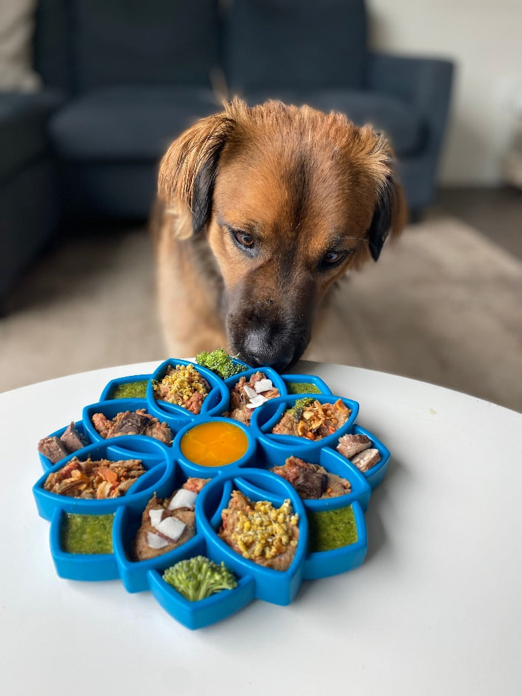 Mandala Etray Shallow Slow Feeder Dog Bowl For Enrichment - gallery image 14