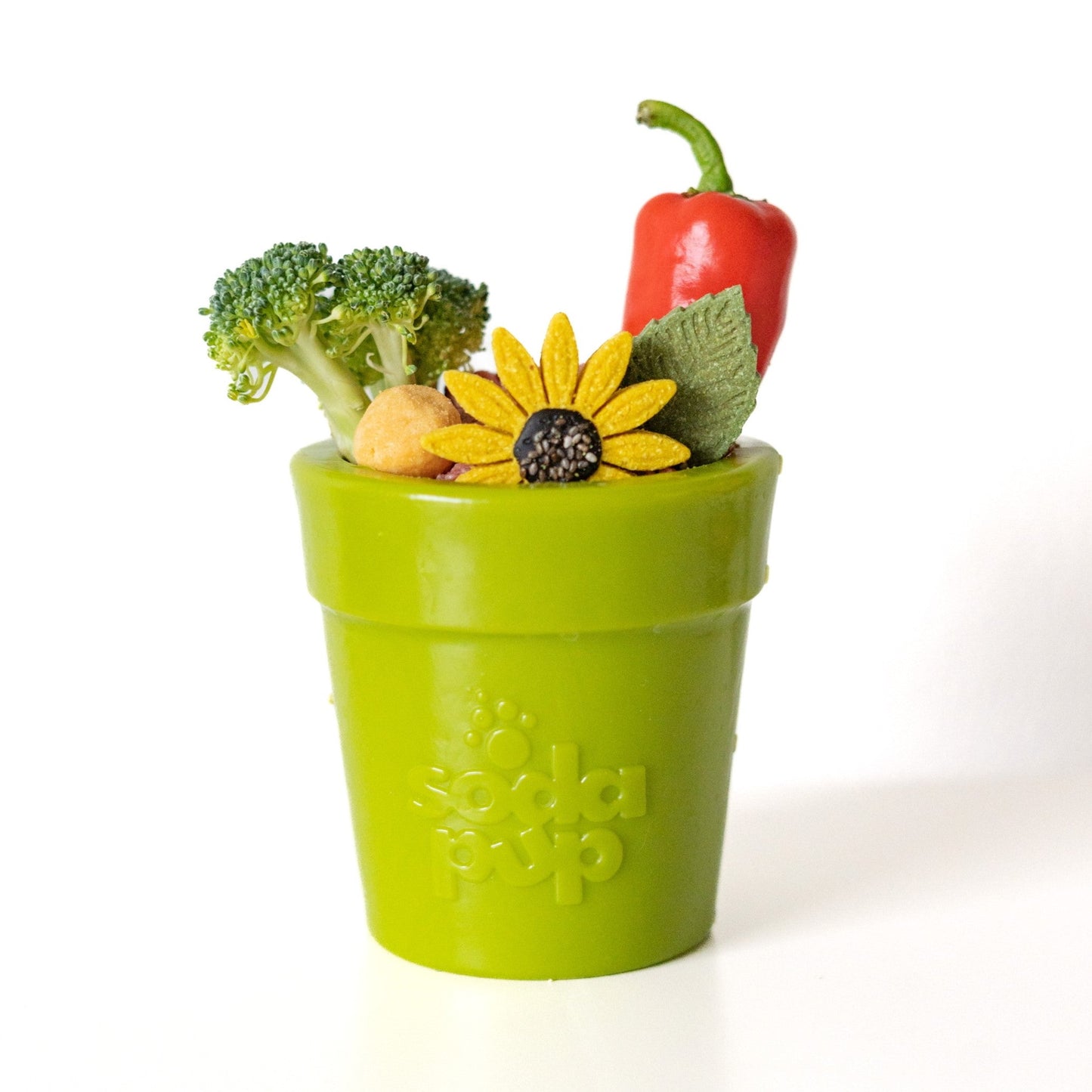 Large Flower Pot eCup Dog Treat Dispenser | Durable USA-Made
