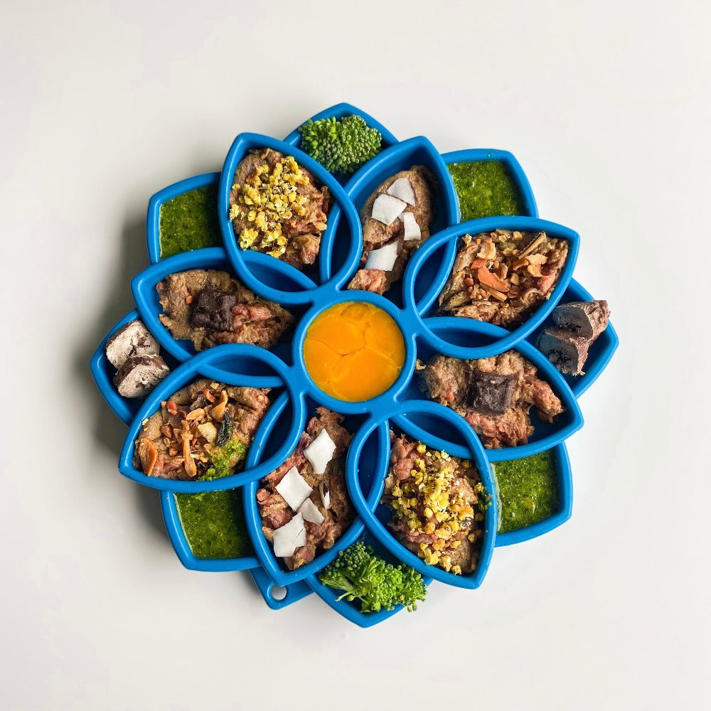 Mandala Etray Shallow Slow Feeder Dog Bowl For Enrichment - gallery image 13